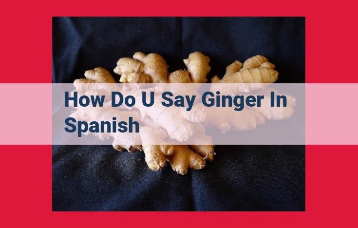 Discover the Power of Ginger: Culinary Delight, Medicinal Wonder, and Cultural Symbol