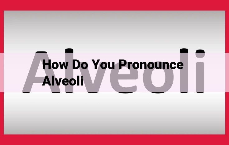 Pronunciation Guide for "Alveoli" with Syllables and Alveolar Consonant Explanation