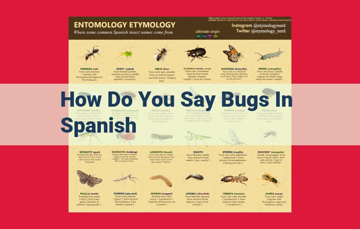 Insects in Spanish: Common Translations and Contextual Usage