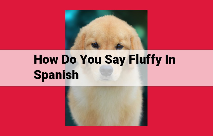 Mullido: The Spanish Word for "Fluffy"