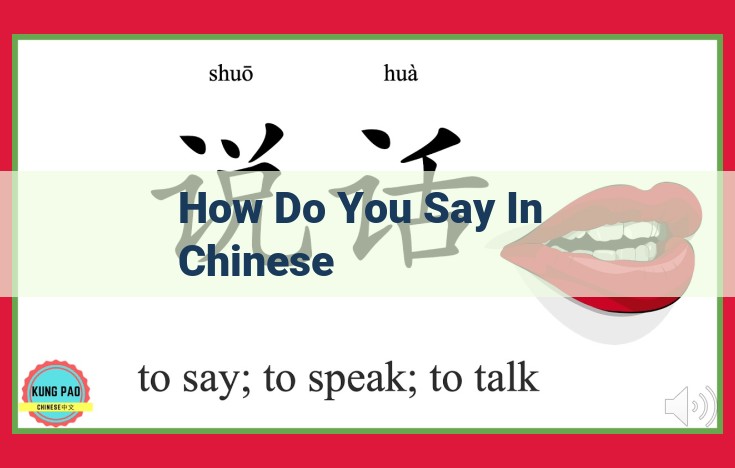 Understanding Chinese: A Cultural and Linguistic Journey