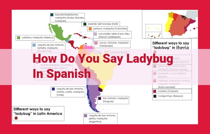 Ladybug's Spanish Name "Mariquita": Symbolism and Origin