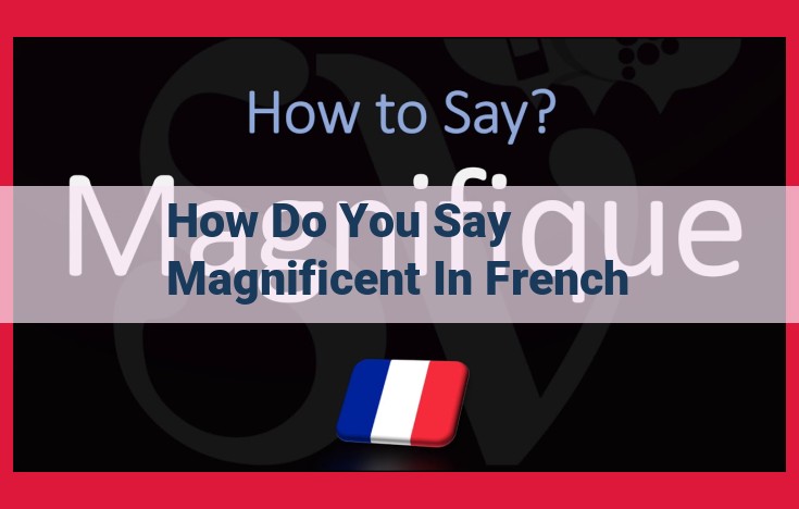 French Adjective Magnifique: Definition, Meaning, and Synonyms