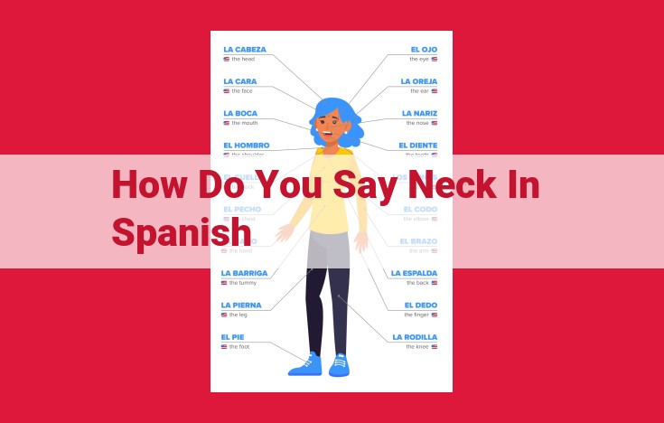 How to Say "Neck" in Spanish: A Comprehensive Guide