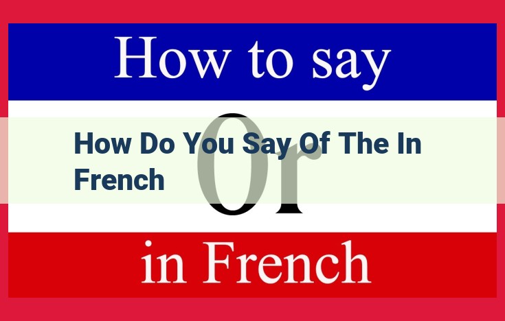 Mastering "Of the" in French: Possessives and Prepositions Explained