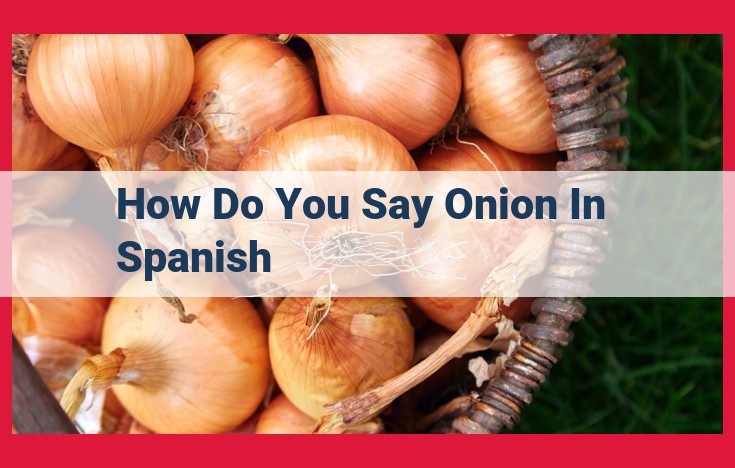 Unveiling the Spanish Vocabulary for Onion: Cebolla, Cebollas, and Cebollitas