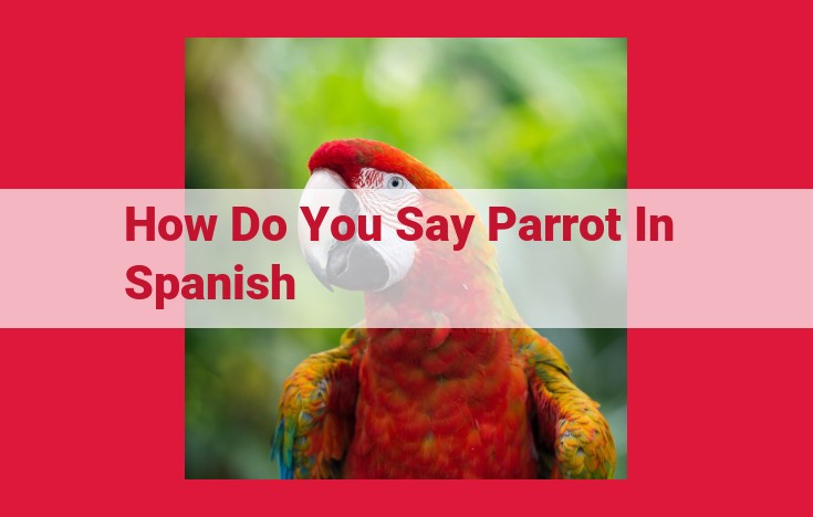 The Influence of Parrots in Spanish-Speaking Culture: Language, Culture, and Classification