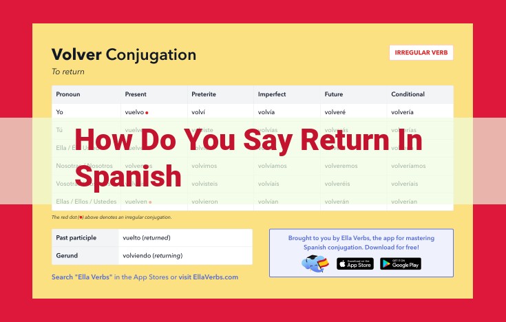 Mastering Returns and Refunds in Spanish: Key Vocabulary and Concepts