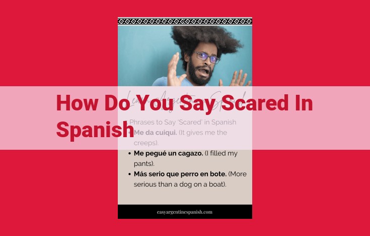 Comprehensive Guide to Expressing Fear in Spanish: Verbs, Adjectives, Nouns, and Phrases