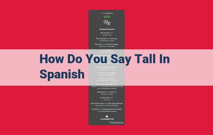 How to Say "Tall" in Spanish: A Concise Guide