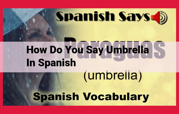 A Comprehensive Guide to Spanish Umbrella Terminology: Paraguas, Sombrilla, Quitasol, Parasol, and Toldo