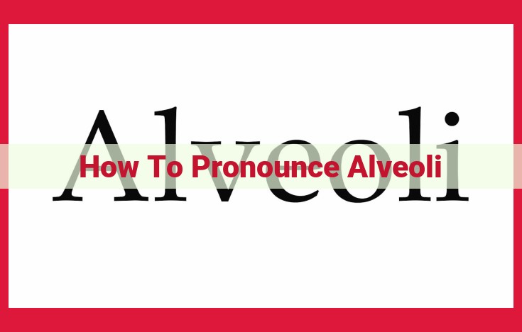 Unveiling the Pronunciation of "Alveoli": A Comprehensive Guide for Linguistic Clarity