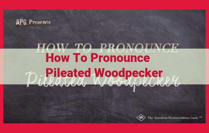 Correct Pronunciation of "Pileated Woodpecker": A Comprehensive Guide