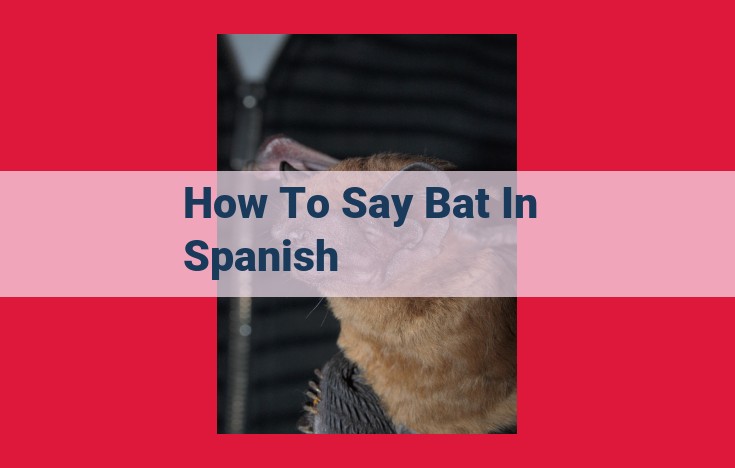 Discover the Intriguing World of Bats: A Guide to "Murciélago" and Their Significance