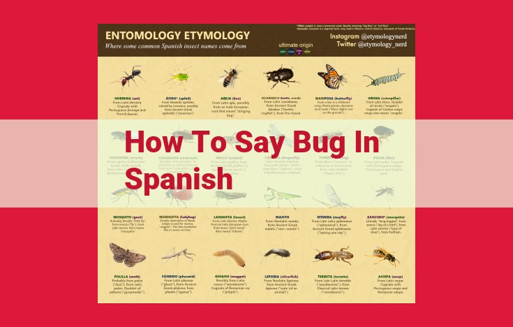 Explore the World of Insects: Taxonomy, Entomology, and Impact on the Environment