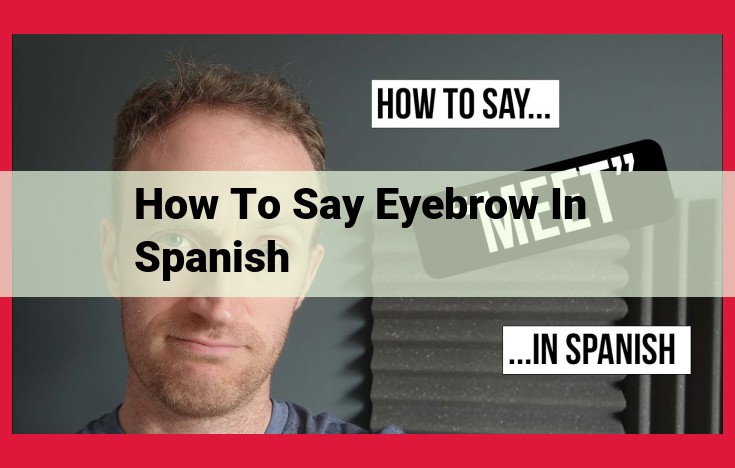 Complete Guide to Spanish Eyebrow Vocabulary