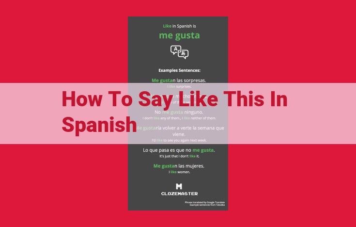 Master Spanish Phrases and Translations: A Quick Guide to Fluency