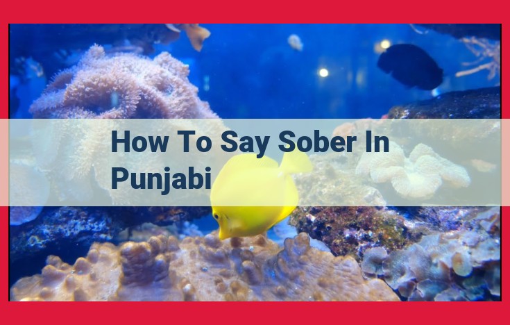 Understanding Punjabi Terms for "Sober": "Socheta" and "Niwa"