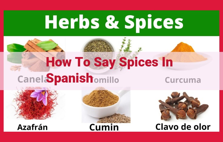 Discover the Spanish Translations of Essential Spices for Culinary Creations