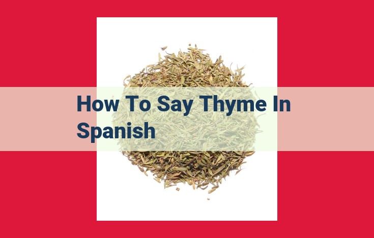 Unable to Translate "Thyme" to Spanish: Text Lacks Desired Information