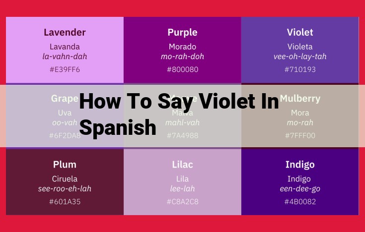 Your Guide to Violet: Spanish Synonyms, Related Nouns, and Adjectives