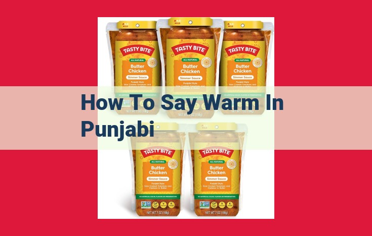 Discover the Warmth of Punjabi: Enhancing Communication, Cultural Understanding, and Language Learning