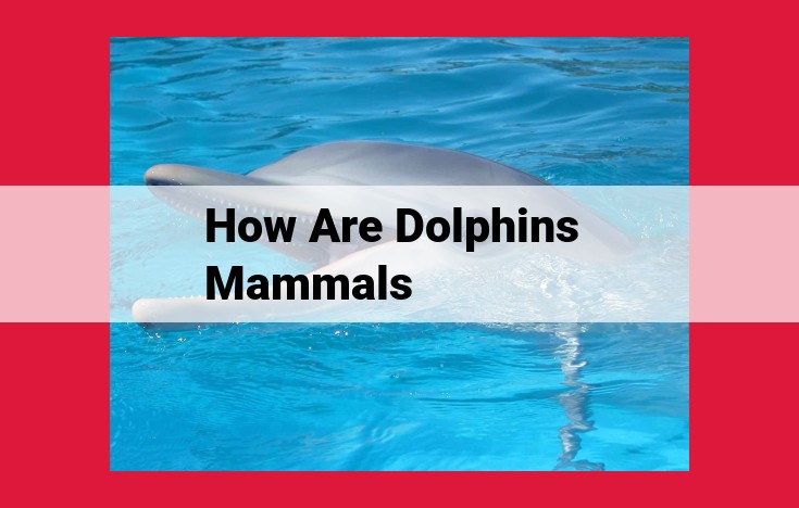 Dolphins: Mammalian Wonders of the Sea with Advanced Intelligence and Playful Nature