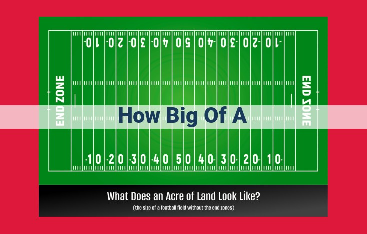 The Importance of Size and Measurement: A Comprehensive Guide