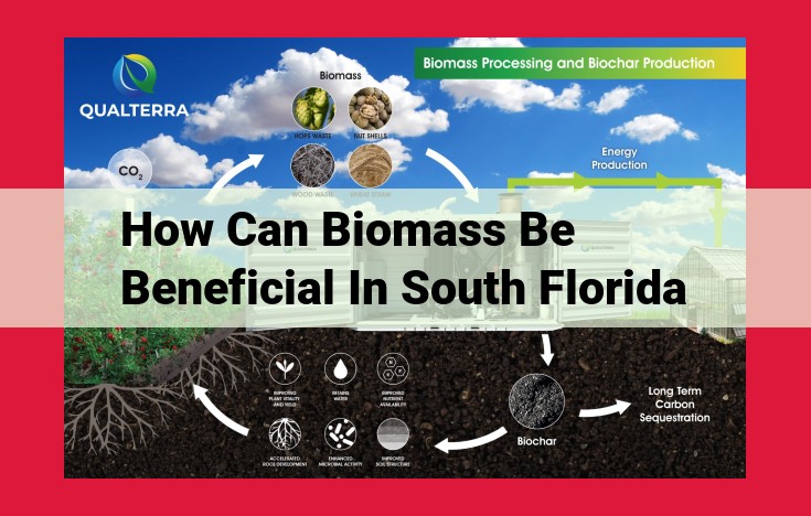 Unleashing the Power of Biomass in South Florida: Environmental, Economic, and Renewable Energy Benefits