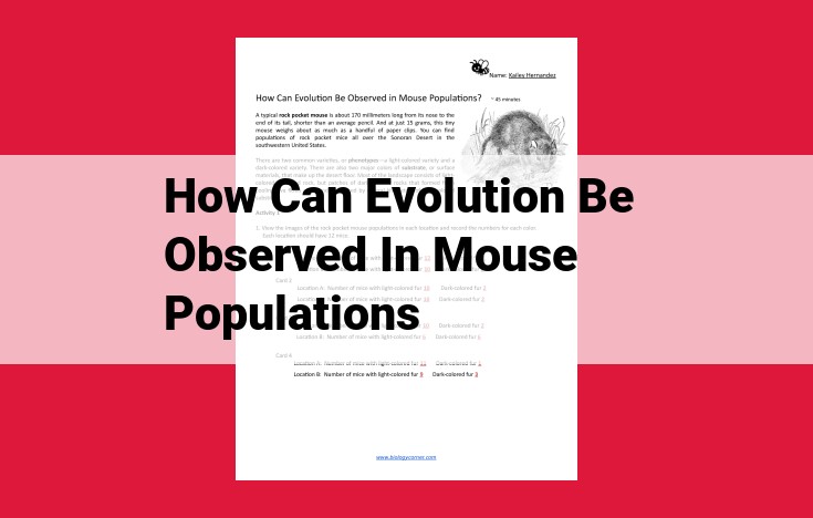 Unlocking Mouse Population Evolution: Genetic Markers, Phenotypic Traits, and Adaptation