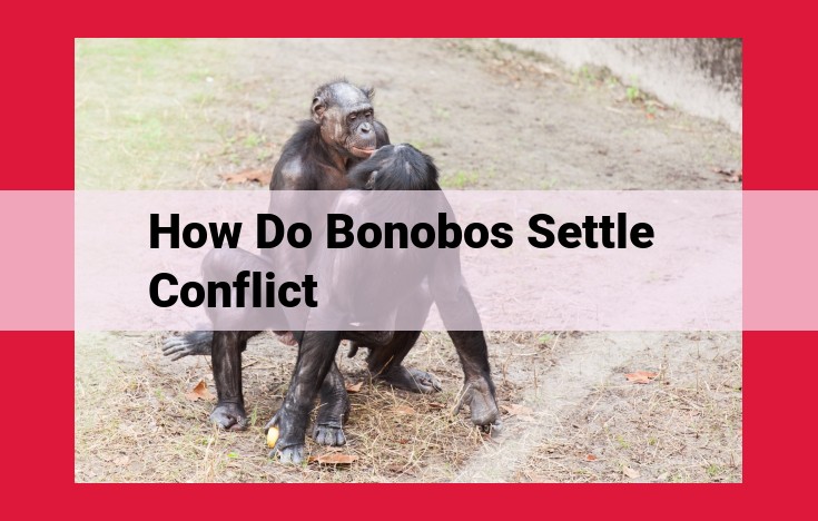 Discover the Remarkable Conflict Resolution Techniques of Bonobos: Unlocking the Power of Social Intelligence and Empathy