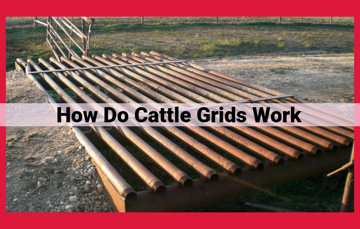 Comprehensive Guide to Cattle Grids and Livestock Crossings: Providing Safe and Efficient Farm Access