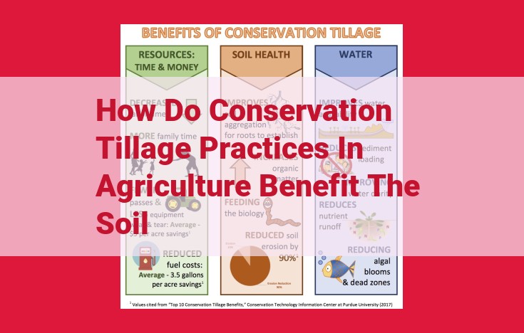 Unlocking Soil Benefits with Conservation Tillage Practices: Enhancing Erosion Control, Soil Health, and Water Retention