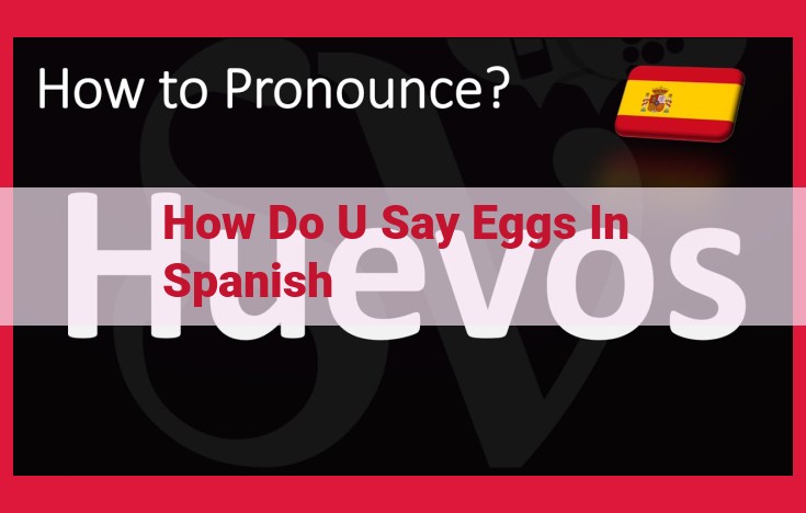 How to Say "Eggs" in Spanish: A Guide for Non-Native Speakers