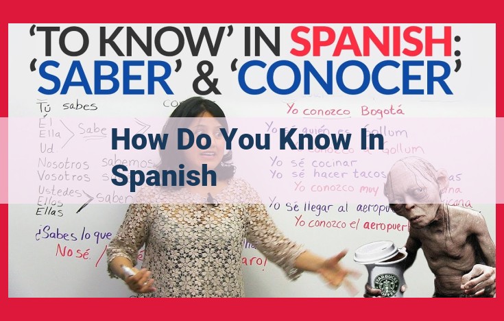 Mastering "Saber Cómo" in Spanish: Essential Phrases, Verbs, Nouns, and Expressions