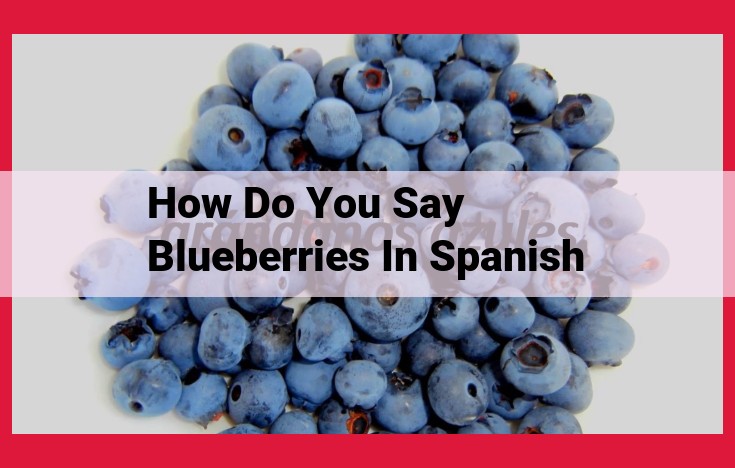 "Mastering the Spanish Word for Blueberries: A Comprehensive Guide"