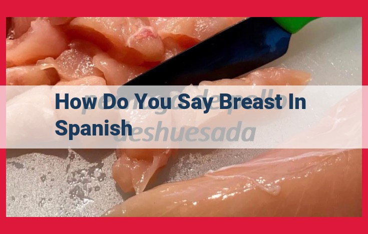 The Crucial Role of Language in Breast Cancer Awareness: Unraveling Breast Terminology in Spanish for Hispanic Communities