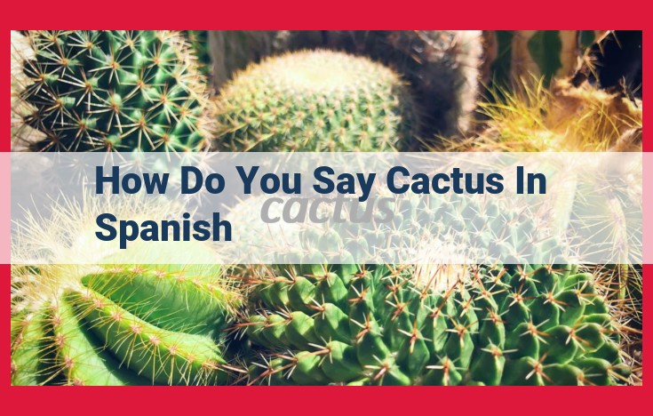 Discover the Spanish Translation for Cactus: Cacto or Nopal