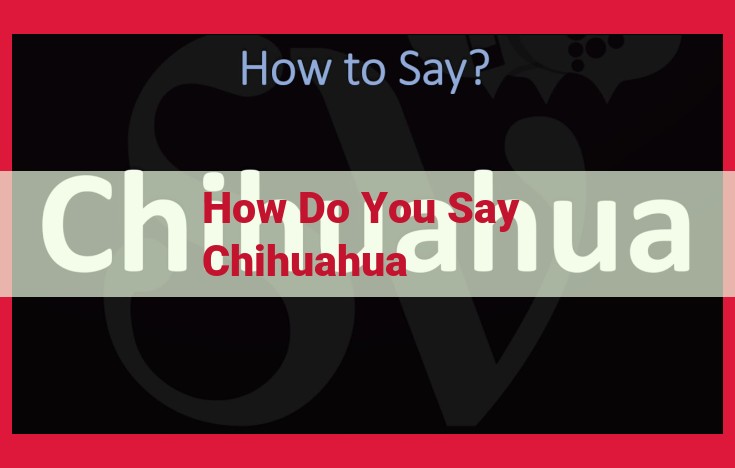 How to Pronounce "Chihuahua": Ultimate Guide for Exact Pronunciation