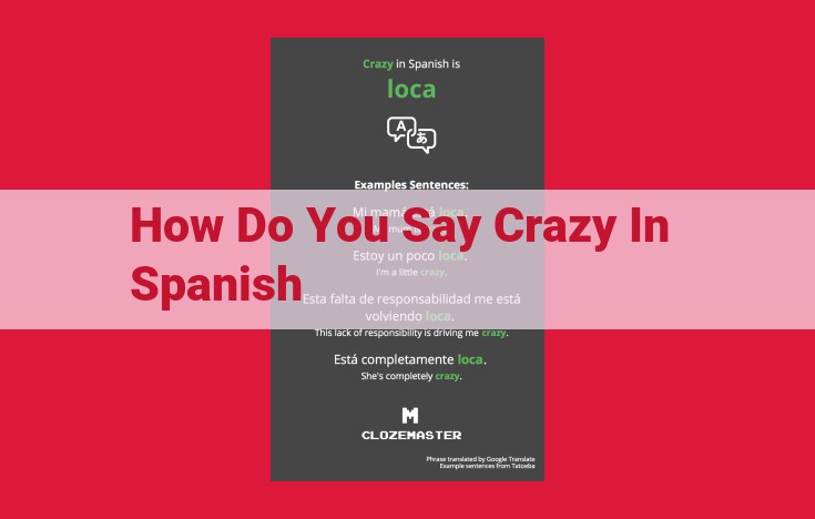 Comprehensive Guide to Spanish Phrases and Words Related to "Crazy": Entities with High Closeness to Topic