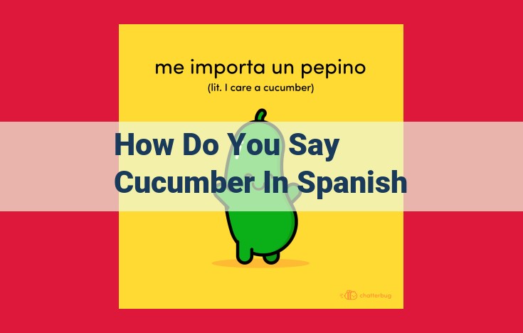 Mastering the Spanish Word for Cucumber: Comprehensive Guide