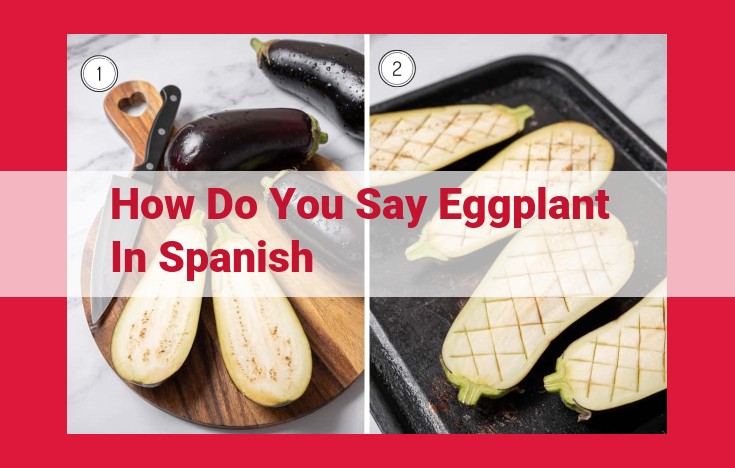 Discover the Spanish Word for Eggplant: Dive into the Origins of "Berengena"