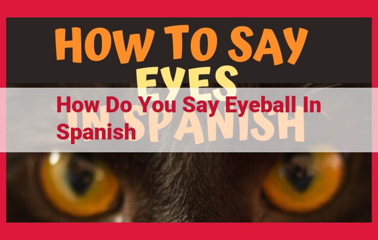 How to Say "Eyeball" in Spanish: A Comprehensive Guide