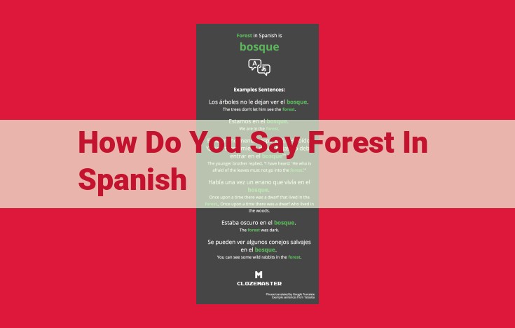 Explore the Lush Vocabulary of Forests: From "Bosque" to Beyond