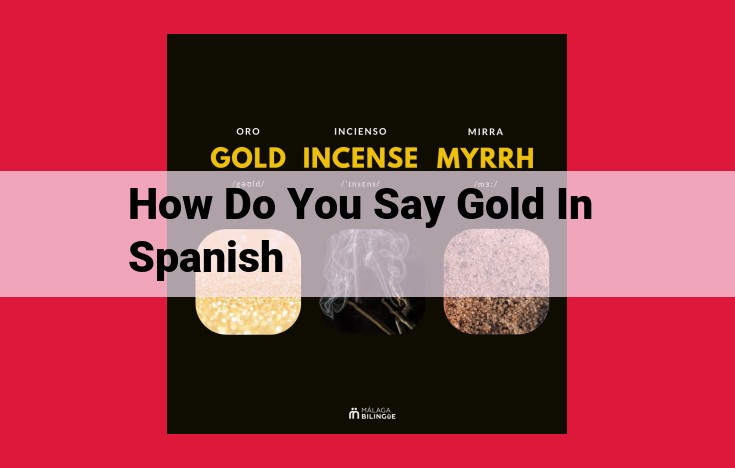 Discover the Spanish Translation for "Gold": Types of Gold (Noun, Adjective, and Phrase)