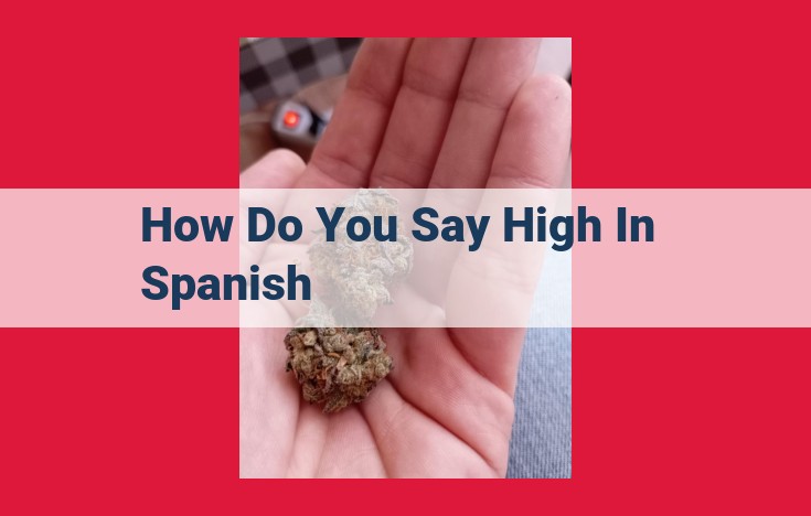 Hola: The Spanish Language's Essential Greeting for Respect and Connection