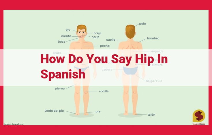 "How Do You Say Hip In Spanish? - Quick & Easy Guide"