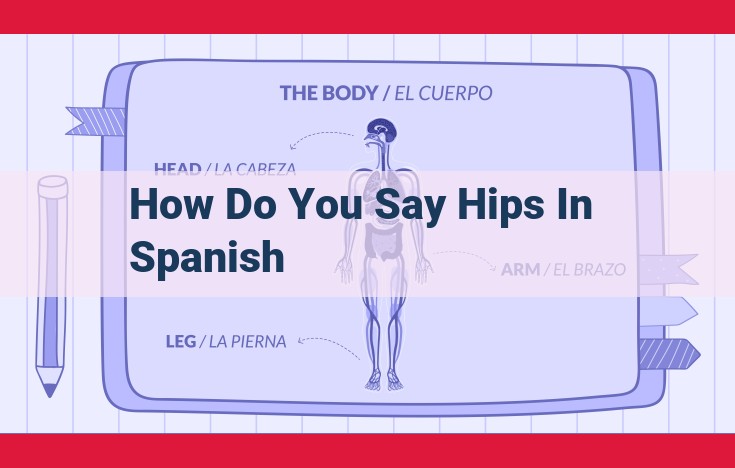 Spanish Word for "Hips": Definition, Pronunciation, and Anatomy