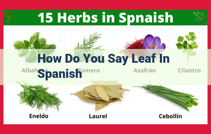 Essential Foliage Vocabulary in Spanish: Leaf-Related Nouns and Color Palettes