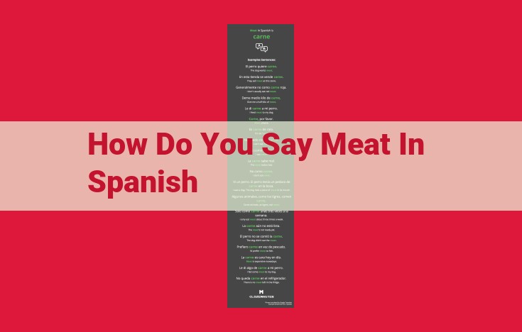 Understanding the Meaning of "Carne": The Spanish Term for Meat